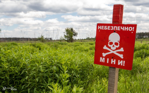 В Україні потенційно забруднено мінами 174 тис. кв. км – це чверть території країни
