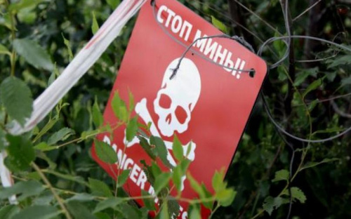 В Донбассе, подорвавшись на мине, погибли трое подростков