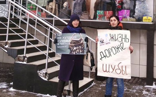 В Мариуполе выступили против «кровавого жлобства», защищая животных (ФОТО)