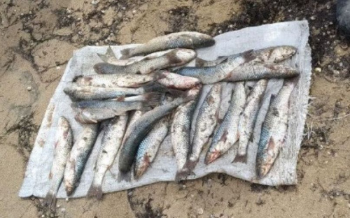 В поселке под Мариуполем браконьер наловил рыбы на 16 тысяч гривен (ФОТО)