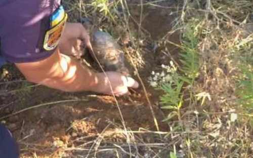 В Мариуполе возле дома нашли снаряд