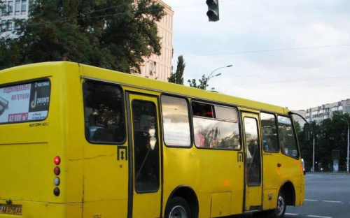 Мариупольцы через интернет могут проверить лицензию маршрутки (ФОТО)