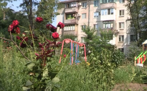 Срезают и выкапывают: из мариупольских дворов исчезают цветы