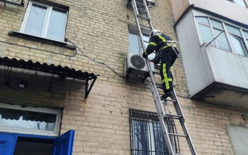 На Донетчине для спасения детей понадобилась пожарная лестница