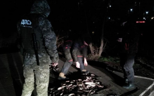 Под Мариуполем мужчина поймал три мешка рыбы на сумму свыше полумиллиона гривен