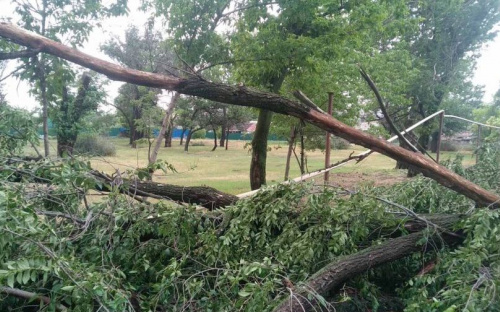 В Мариуполе дерево упало на газовую трубу
