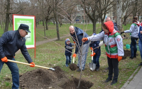В честь 85-летия Донецкой области в Мариуполе образовали «Алею єднання»
