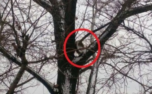 В Донбассе вблизи блокпоста 