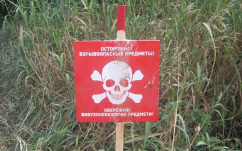 На Донетчине пиротехники уничтожили 12 взрывоопасных предметов