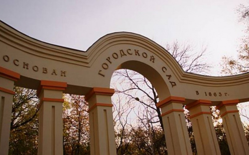 В Городском саду Мариуполя украли 40 кустов самшита на 6 тысяч гривен