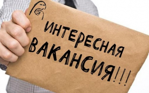 В Мариуполе из 8 кандидатов выбирают начальника управления образования