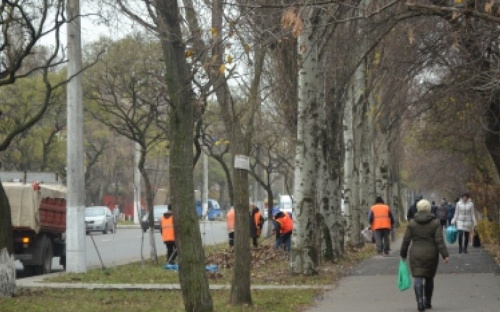 В Мариуполе убранную листву перерабатывают на биогаз
