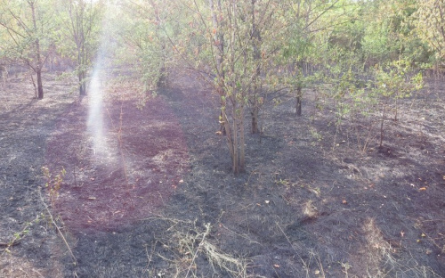 В Мариуполе участились возгорания, введен 5-й класс пожарной опасности (ФОТО)