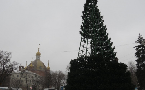 В День святого Николая в Мариуполе установили главную городскую елку (ФОТОФАКТ)