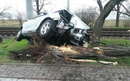 В Приморском районе Мариуполя автомобиль протаранил дерево (ФОТО)