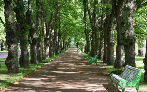 В центре Мариуполя местные жители облагородили парковую аллею (ФОТО)