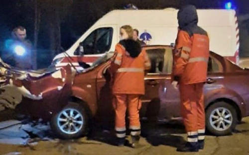 На выезде из Мариуполя погибли водитель и собака, на скользкой трассе перевернулся автомобиль (ДОПОЛНЕНО)