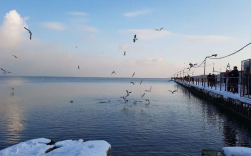 Мариупольцы в мороз отправились отдыхать на пляж (ФОТОФАКТ)