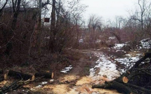 В мариупольском парке убрали преграду на пути к морю
