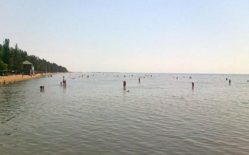 За неделю в Мариуполе ухудшилось состояние морской воды