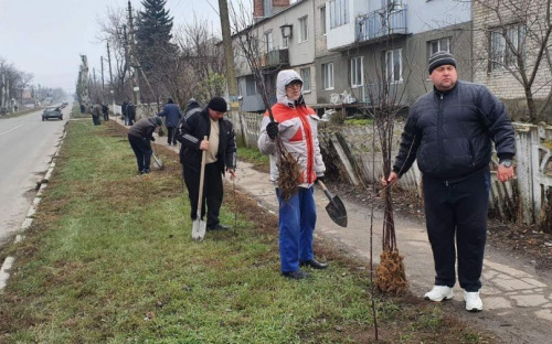 Почти полтысячи яблонь высадили в Мариупольском районе