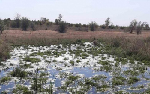 В пять городов Донетчины могут сократить подачу воды: на водопроводе три больших порыва