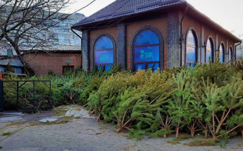 Где в Мариуполе купить новогодние елки и сосны