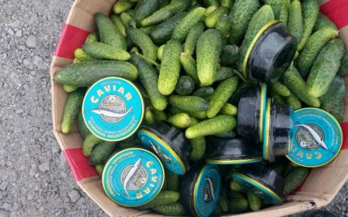 На КПВВ под Мариуполем задержали груз красной и черной икры на 40 тыс. грн (ФОТО)