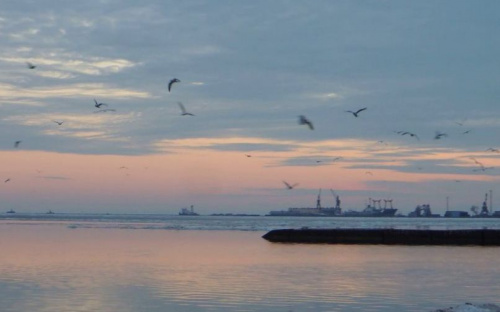 В Мариуполе запустят дополнительный транспорт к морю