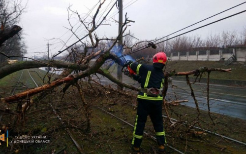В Мариуполе рухнувшее дерево парализовало движение транспорта