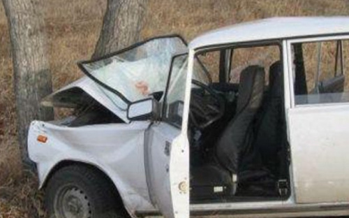 Под Мариуполем автомобиль врезался в дерево, пострадала пассажирка