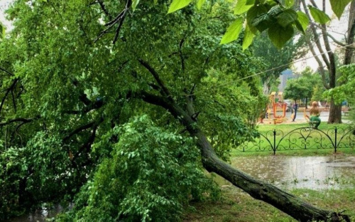 Мариупольцы из-за стихии остались без света. Когда устранят неполадки — неизвестно (ФОТО)