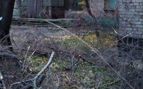 Возле военного госпиталя в Мариуполе снесли деревья
