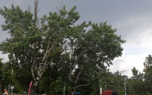 Под дождем на городском пляже Мариуполя отдыхают несколько десятков человек (ФОТОФАКТ)