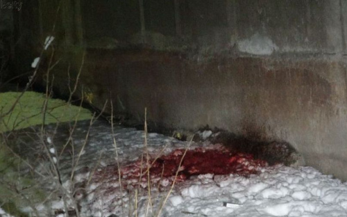 Помимо взрыва с двумя погибшими, в Мариуполе в праздники произошло убийство