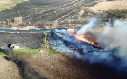 В Мариуполе пожар уничтожил поле и сторожку около реки (ФОТО)