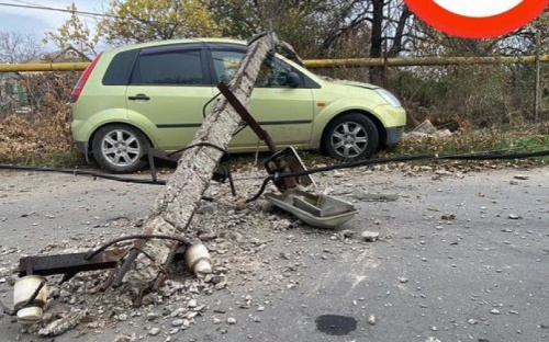 Мариупольский автомобилист рисковал жизнью ради спасения собаки