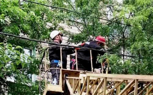 В Мариуполе деревья рвут электропровода: без света остались три дома (ФОТО)