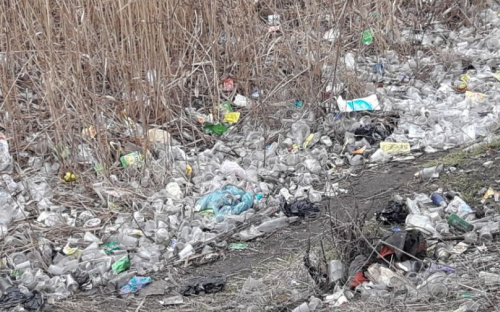 В Мариуполе из наливайки «взошли подснежники» (ФОТО)