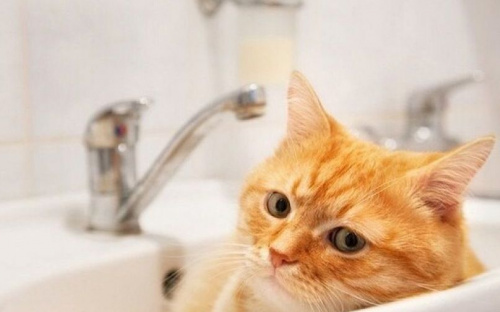 В трех районах Мариуполя частично отключат воду на сутки (АДРЕСА)