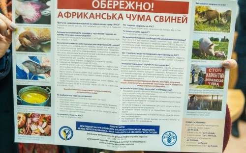 В Мариуполе впервые обнаружен вирус африканской чумы (ФОТО)
