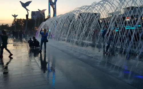В центре Мариуполя дети бегают за дельфинами
