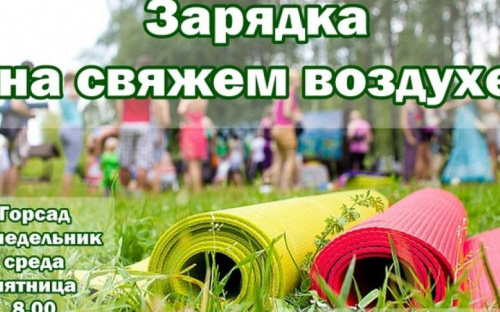 Мариупольцев призвали на оздоровительные акции в Городском саду