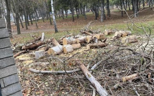 Возле мариупольской церкви спилили деревья
