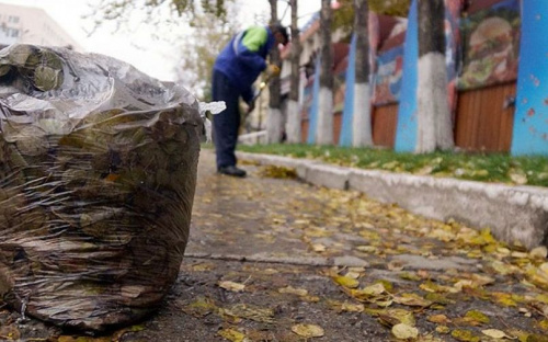 Опавшую листву в Мариуполе «пожирает» специализированный пылесос