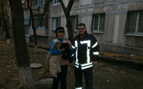 В Мариуполе спасли кошку, забравшуюся на 15-метровое дерево (ФОТО)