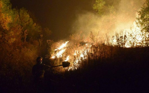 Донбасс в огне: сгорело 250 домов, эвакуировано порядка 1000 человек, закрыт КПВВ