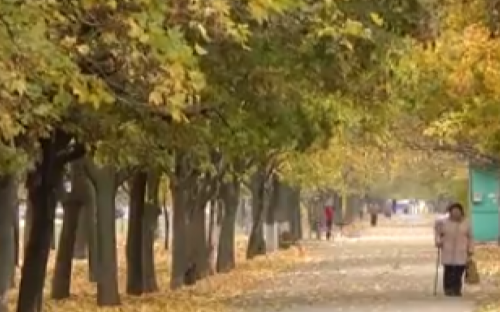 Стараниями инициативной пенсионерки в Мариуполе благоустроена аллея (ФОТО)
