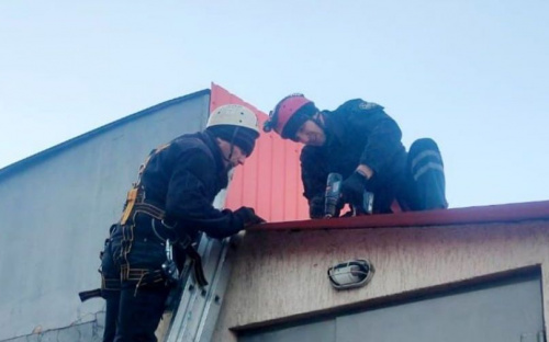 В Мариуполе штормовой ветер валил деревья и сорвал с магазина кровлю