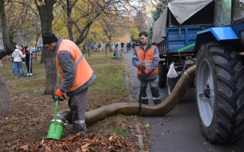Каждую субботу ноября жители Мариуполя будут собираться на уборку улиц и парков (ФОТО)